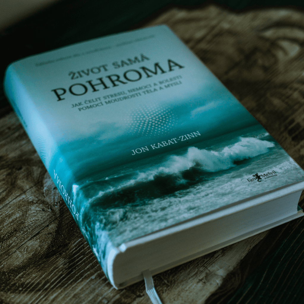 Život Samá Pohroma 6 Mindfulness Kniha